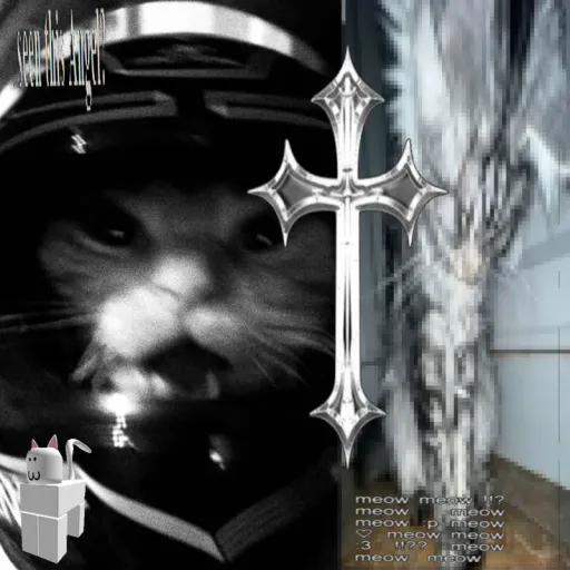 Meow — мониторинг Discord сервера, статистика и рейтинг