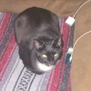 The 18 shades of disappointment Discord server icon