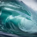 [G-S] Gorilla Surfers #242