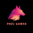 PRDJ GAMER's server