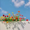 태그를 위한 서버