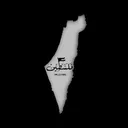 Palestine banner