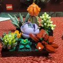 Cactusqueen's server