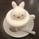 ˚∘˙ ୨୧ Miffy ೄྀ • Discord Server Icon