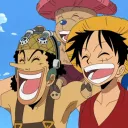 ☠ THE STRAWHATS 👒