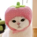 Meow's server Discord Server Icon