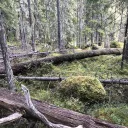 Finnish Molecular Ecology Community