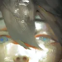  ＃Alfel﹒＃YetkiliAlım Discord Server Icon