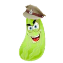 Грядка КАБАЧКА