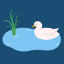 Zander's Pond