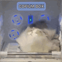 +18 Copium box