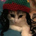 MeowtheSERVER