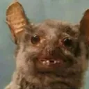 batcaverna