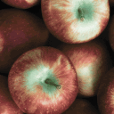 Cider