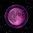 𝙻𝚘𝚜𝚝₁₈₊ Discord Server Icon