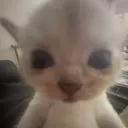 𝒀𝙪𝒉 𝙁𝒂𝙢𝒊𝙡𝒚