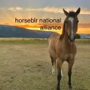 horseblr national alliance
