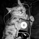 ⌞120.20 RADIO⌝ Discord Server Icon