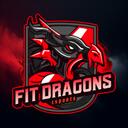 FITDRAGONS CT Discord Server Icon
