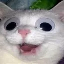 limakullii22
