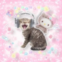 ⤹ ₊˚ʚɞ CandyGutzz