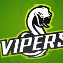 ViperGamer