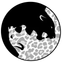 The Zoo of Yin/Yang