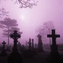 Rose Morgue discord icon