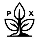 PRIMEXMPLE