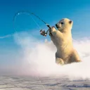 Knut xx
