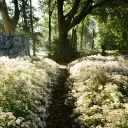 Clear Path