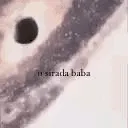 MANDATE OF SINGULARITY Discord Server Icon