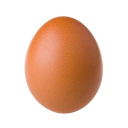 Eri o Ovo icon