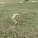 Unluckers's server