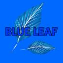 Blue Leaf Discord Server Icon