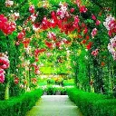 🌺J's Garden🌺 discord icon