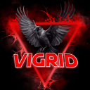VIGRID DAYZ Discord Server Icon – Memes