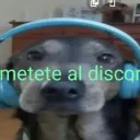 metete al discor