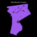 Young Adults of Westchester Discord Server Icon