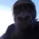 cx
