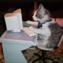 𝗠𝗶𝗰𝗵𝗶𝘀 𝗸𝗮𝗿𝗮𝘁𝗲𝗸𝗮�... Discord Server Icon