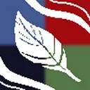 .^~ The Four Winds - A Warriors RP discord icon