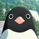 Pinguins Encrenqueiros🐧