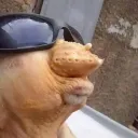 obliv