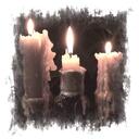    ┈ the vampire's diary    [INACTIVE] Discord Server Icon