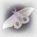 𝙰𝚅𝙻𝚄𝚄'𝚂 𝙿𝙴𝚁𝙵𝙴𝙲𝚃 𝙲𝙾𝙻𝙻𝙰𝙿𝚂𝙴