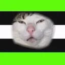 bubba hotel v6 Discord Server Icon