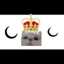 KINGDOM OF KITTEN