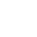 ribcage inc