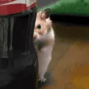 Rat-All [RRattenmesser]